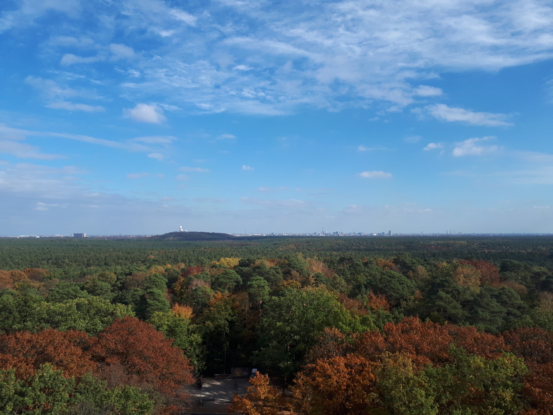 Blick vom Grunewaldturm auf Himmel und Wald